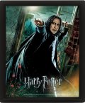 neuveden: Harry Potter Obraz 3D - Snape