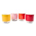 neuveden: Pantone Latte Termohrnek - Yellow, Red, Orange, Light Pink (set 4 ks)