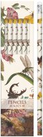 -: Dárkové balení tužek Insects