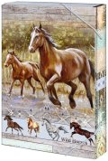neuveden: Box na sešity A5 Wild horses