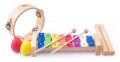 neuveden: Muzikální set ( xylofon, tamburína, dřívka, 2 maracas vajíčka )