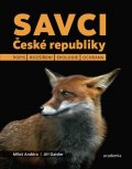 Zdenka Sokolíčková: Člověk v pokorném závazku vůči světu - Studie z ekologické etiky