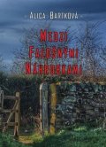 Bartková Alica: Medzi falošnými náhrobkami