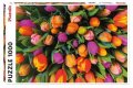 neuveden: Puzzle Tulipány / 1000 dílků