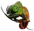 : EUGY 3D kartonová skládačka - Chameleon