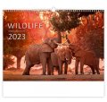 neuveden: Kalendář nástěnný 2023 - Wildlife, Exclusive Edition