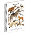 : Spirálový blok Animalium - Psovité šelmy, linkovaný, A5
