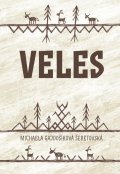 Gajdošíková Šebetovská Michaela: Veles - Slovanské božstvo ve srovnávací perspektivě