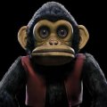 Breemen Edo Van: The Monkey (Colored Vinyl) - LP