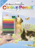 neuveden: Royal & Langnickel Malování podle čísel Pastelkami - Koťata (Color Pencil B