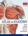 kolektiv autorů: Atlas of Anatomy : The Human Body Described in 13 Systems