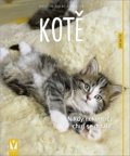 Eilert-Overbeck Brigitte: Kotě - Jak na to?