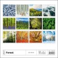 : Kalendář nástěnný 2027 - Forest/Wald/Les