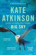 Atkinsonová Kate: Big Sky - Jackson Brodie