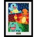 neuveden: Pokémon Zarámovaný plakát - Starters