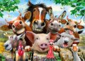 neuveden: Wooden City Puzzle Život na farmě 2v1, dřevěné, 200 dílků