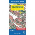 neuveden: Slavonice - Historické centrum/Kreslený plán města
