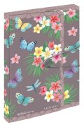 -: Box na spisy A4 4cm Ladylike - Motýlci