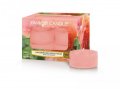 neuveden: YANKEE CANDLE Sun-Drenched Apricot Rose svíčka 9,8g čajová 12ks