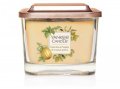 neuveden: YANKEE CANDLE Tonka Bean & Pumpkin svíčka 347g, 3 knoty