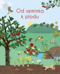 Colas des Francs Nicole: Od semínka k plodu