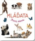 neuveden: Mláďata První slova