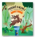 neuveden: Prosviť a hledej Les