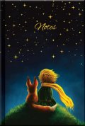 neuveden: Notes LITTLE PRINCE