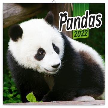 neuveden: Kalendář 2022 poznámkový: Pandy, 30 × 30 cm