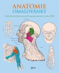 Gray Henry: Anatomie omalovánky