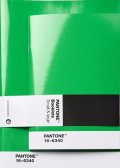 neuveden: Pantone Zápisník tečkovaný, 2 velikosti - Green 16-6340