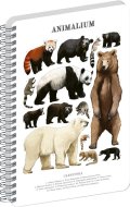 : Spirálový blok Animalium - Medvědovité šelmy, čistý, A4