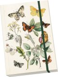 -: Notýsek Butterflies