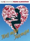 neuveden: Květ mého tajemství - DVD