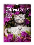 neuveden: Kalendář nástěnný 2025 - Kittens / Katzenbabys / Koťátka / Mačičky