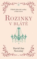 Novotný David Jan: Rozinky v blátě - Dva tucty střepů