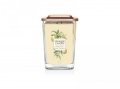 neuveden: YANKEE CANDLE Citrus Grove svíčka 553g, 2 knoty