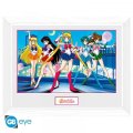 neuveden: Sailor Moon Zarámovaný plakát - Group
