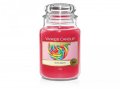 neuveden: YANKEE CANDLE Tutti-Frutti svíčka 623g