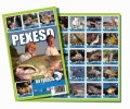 neuveden: Pexeso 32 - S Jakubem na rybách