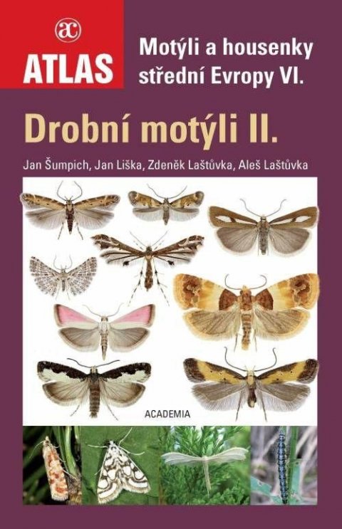 Laštůvka Aleš: Drobní motýli II. - Motýli a housenky střední Evropy VI.