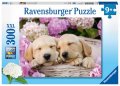 neuveden: Puzzle Sladcí psi v košíku/300 dílků