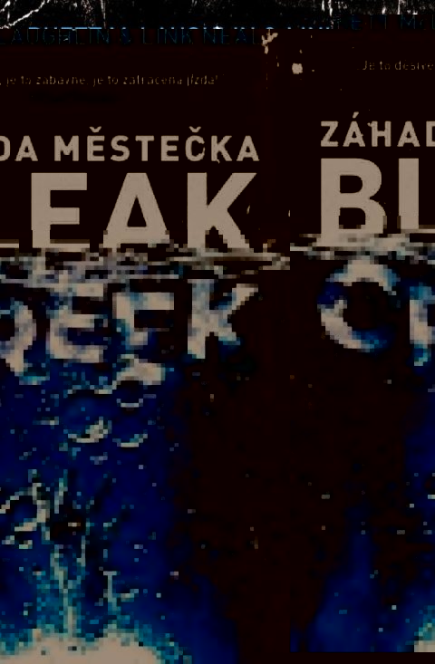 McLaughlin Rhett, Neal Link,: Záhada městečka Bleak Creek