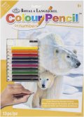 neuveden: Royal & Langnickel Malování podle čísel Pastelkami - Lední medvěd (Color Pe