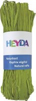 neuveden: HEYDA Přírodní lýko - světle zelené 50 g