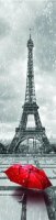 neuveden: Záložka - PARIS IN RED