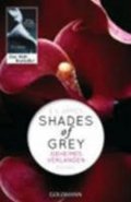 James E. L.: Shades of Grey 1/Geheimes Verlangen