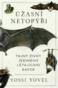 Yovel Yossi: Úžasní netopýři