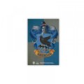 neuveden: Harry Potter Magnet - Havraspár