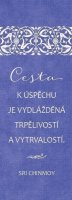 Chinmoy Sri: Plechová cedulka Cesta k úspěchu je vydlážděná trpělivostí a vytrvalostí